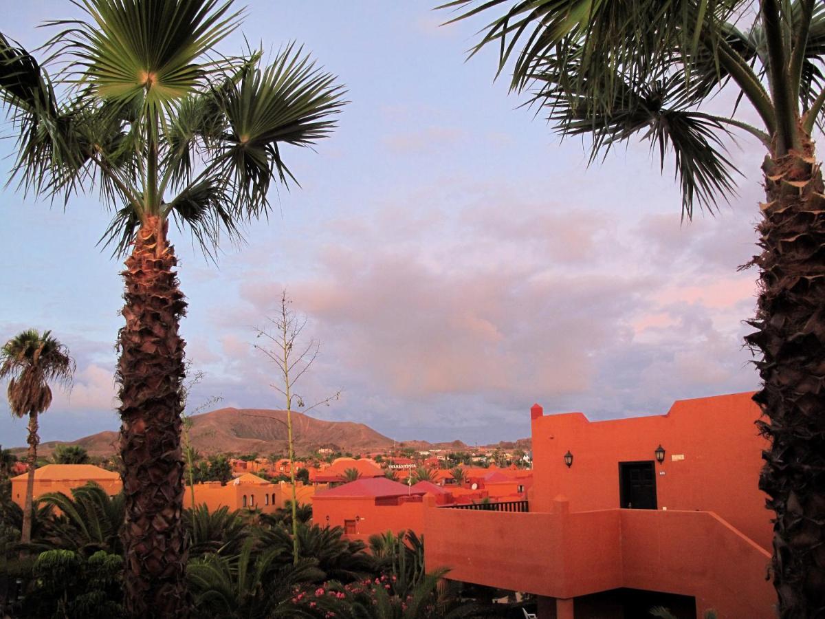 Gardenia, Oasis Tamarindo * Corralejo